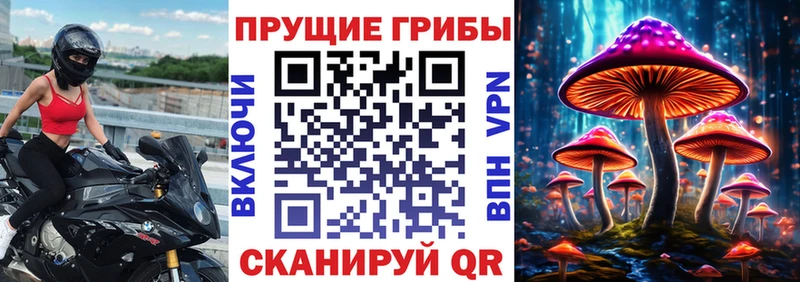 МЕГА ONION  Старая Купавна  Псилоцибиновые грибы мухоморы 