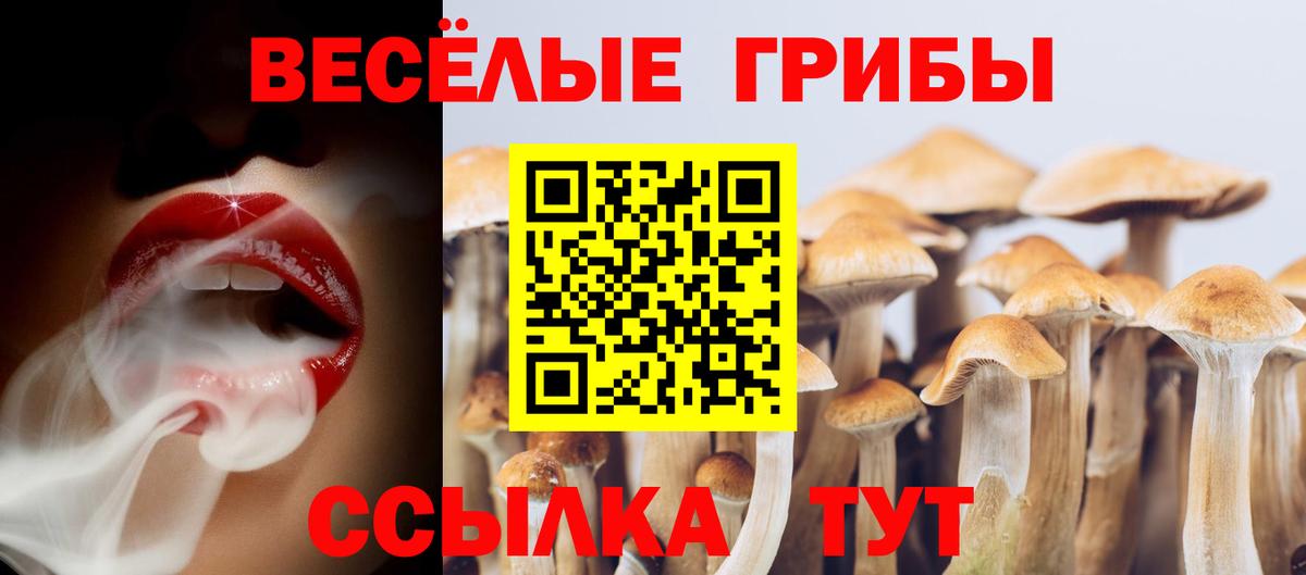 Галлюциногенные грибы мицелий Старая Купавна