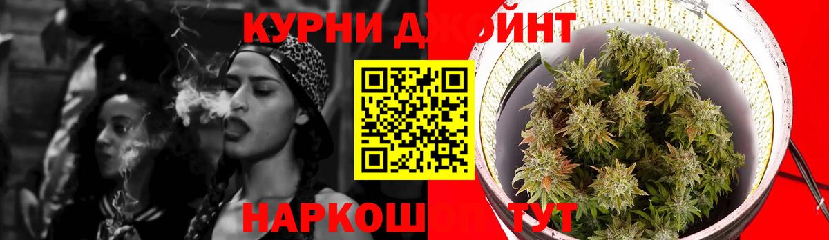 Канабис сатива Старая Купавна